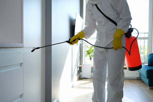 Best HVAC Mold Remediation in Chickasha, OK